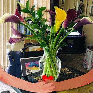 Meet your Posher, Joseph